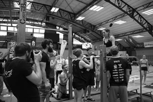 爱游戏入口-“2025世界游泳锦标赛：水上芭蕾精彩纷呈，艺术之美与竞技并行”